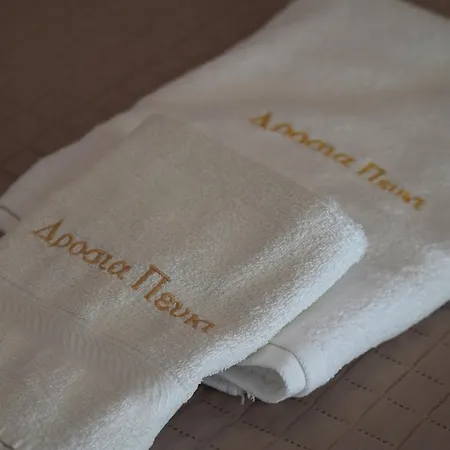 Lägenhet Drosia - λυμπερόπουλος