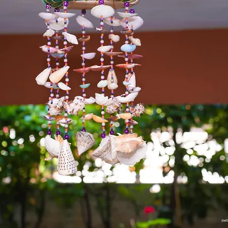 Drosia - λυμπερόπουλος Lägenhet Pefki (Evia)