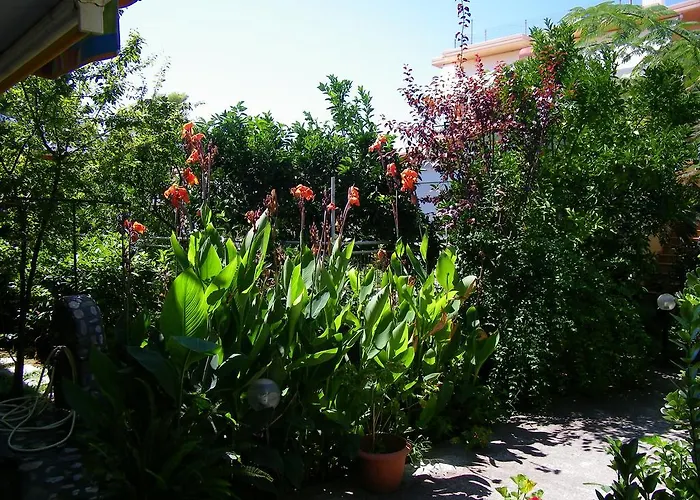 Drosia - λυμπερόπουλος Pefki (Evia)